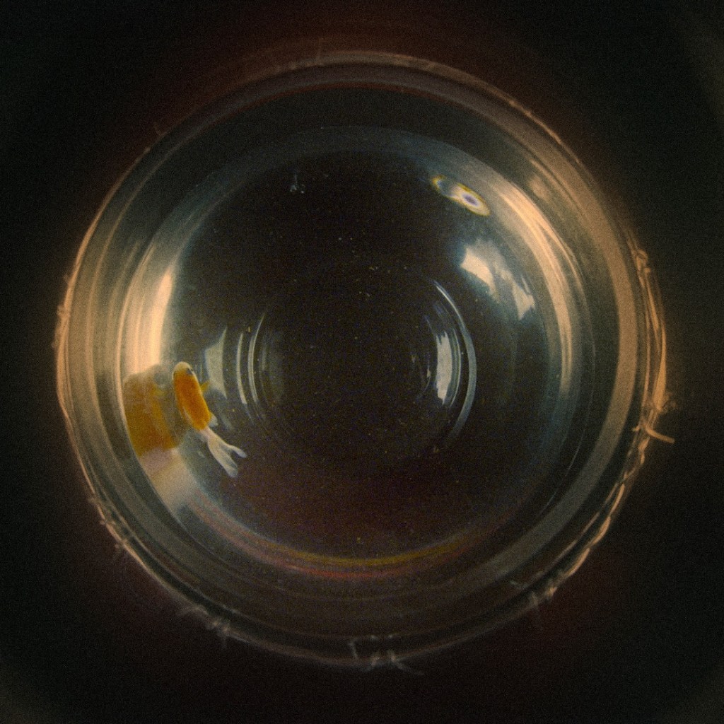 Azerbaycanlı Post-Punk İkilisi Call It’ten Yeni Tekli: “Bir&nbsp;Gün”